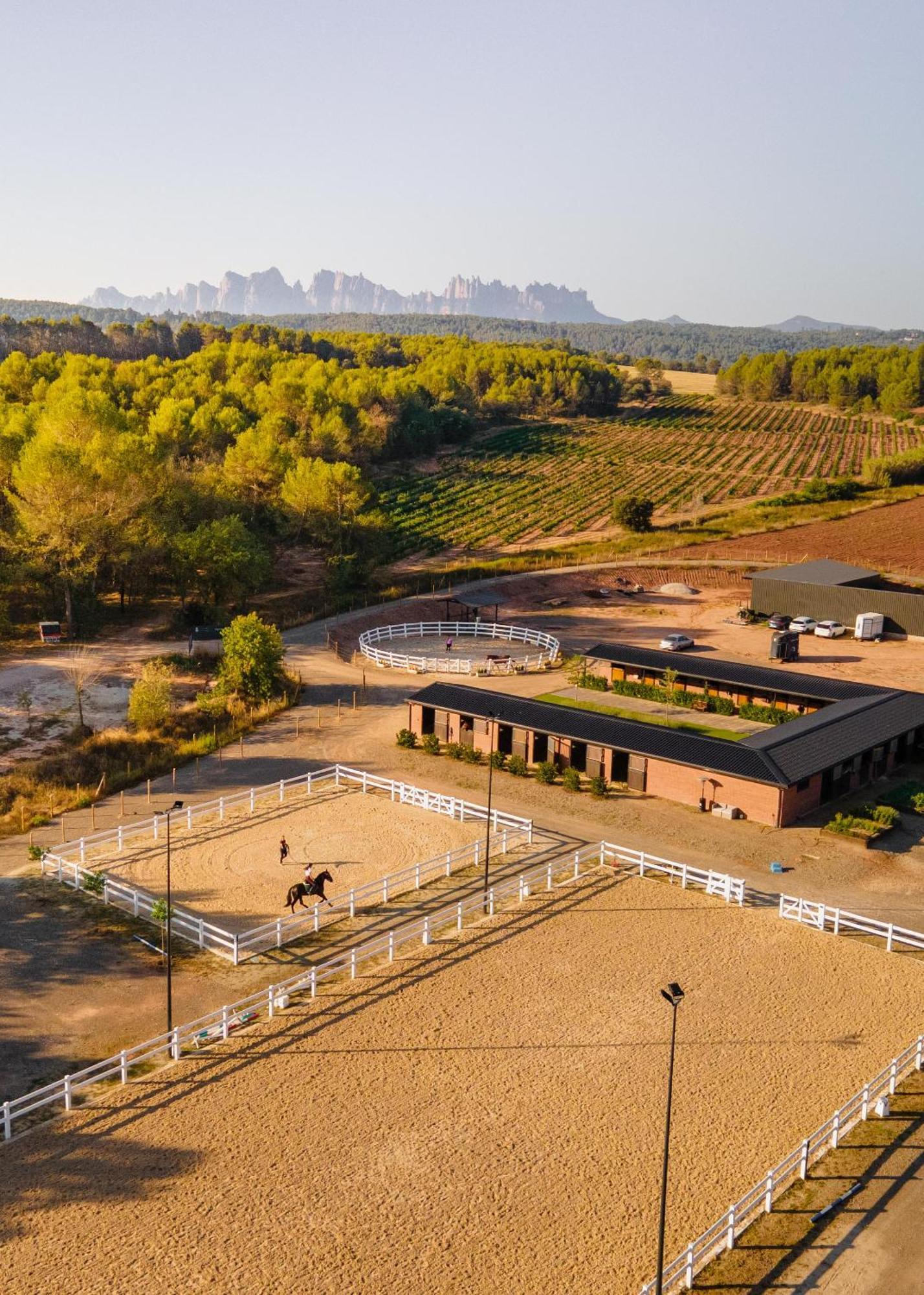 Les Cabanes De L'Oller Del Mas Manresa Exterior foto